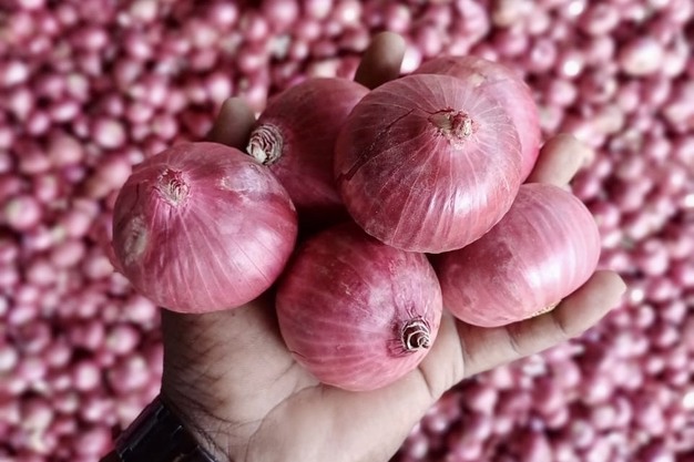 Onions